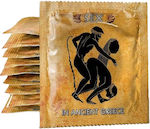 Callvin Greek Lover Condoms 1pc