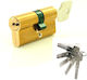 Gevy Zylinderschloss Sicherheits 100mm (40-60) mit 5 Schlüssel Gold