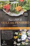 Primasem Samen Viola 10gr