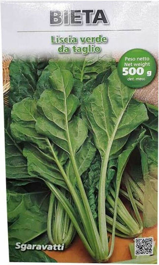 Primasem Samen Weiße Rübe Verde da Taglio 500gr