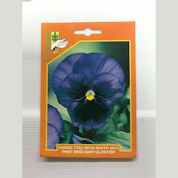 Primasem Seeds Viola Purple