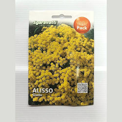 Primasem Seeds Sweet Alyssum Yellow