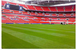 Γενική Φυτοτεχνική Αθηνών Σπόροι Γκαζόν Wembley 50gr