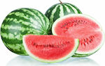 Geoponiki Sweet F1 Seeds Watermelon 100pcs