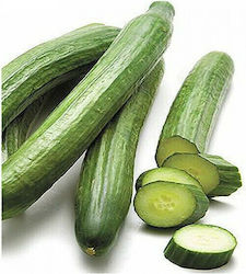 Geoponiki Seeds Cucumber 100pcs