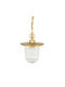 Andromeda Outdoor Hanging Ceiling Light E27 in Bronze Color 219
