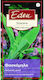 Eden Seeds Sage 1gr