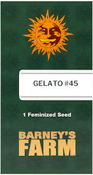 Barneys Farm Seeds Cannabis