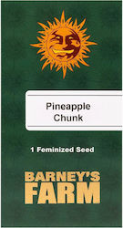 Barneys Farm Seeds Cannabis