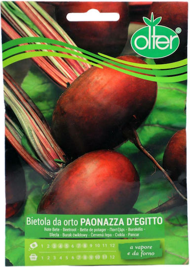 Olter Seeds Beetroot