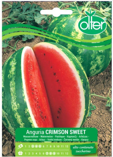 Olter Σπόροι Καρπουζιού Crimson Sweet Πράσινο