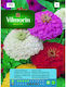Vilmorin Seeds Zinnia 1gr