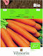 Vilmorin Samen Karotte Biologischer Anbau 2gr