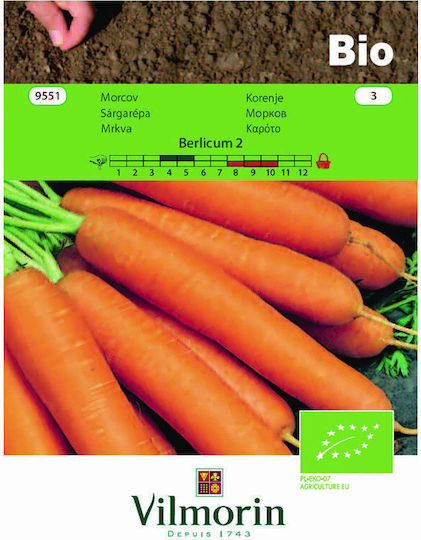 Vilmorin Samen Karotte Biologischer Anbau 2gr