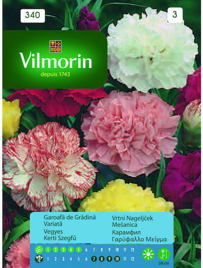 Vilmorin Σπόροι Γαρύφαλλο Πολύχρωμο 0.5gr
