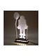 World of Wood Table Decorative Lamp LED Transparent