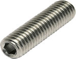 Allen Screw Inox DIN 916