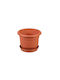 Ghiveci Plastic 17x17x14cm.