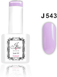 Jlac Ημιμόνιμο Βερνίκι 543 15ml