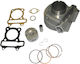IQ Tech Motorcycle Pistons & Cylinders Set for Kymco Agility 125