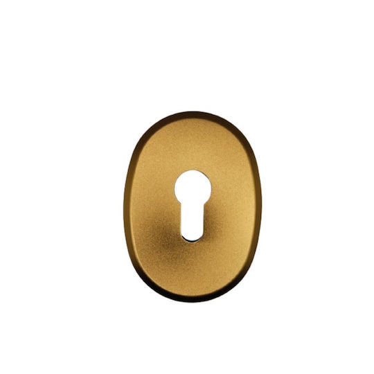 Rosette - Door Escutcheon Armoured Door Bronze
