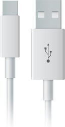 KIWI Design Vapor USB 2.0 USB-C masculin - USB-A 1m