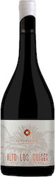 El Porvenir Wines Altos Los Cuises Ερυθρό Ξηρό 750ml El Porvenir Wines Altos Los Cuises Ερυθρό Ξηρό 750ml