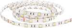 Eurolamp LED Strip Power Supply 12V with Cold White Light Length 5m