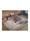 National Geographic Bettbezug-Set Baumwolle Einzelbett mit Kissenbezug & 1 Bettlaken 160x200 Löwe Braun