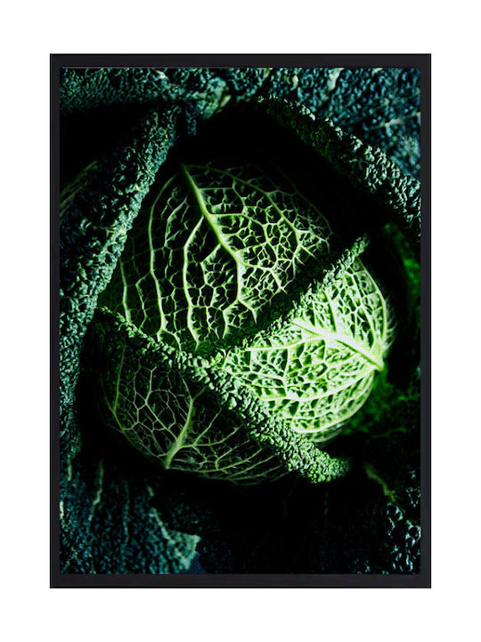 Walls Savoy Cabbage Painting on Canvas 40x50cm