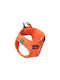 Glee Dog Harness Orange Medium 89365