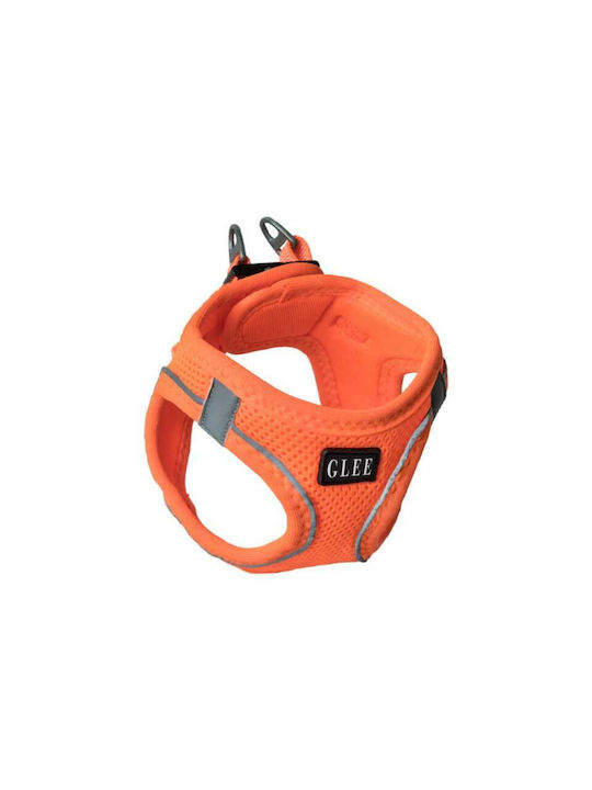 Glee Hundegeschirr Orange Klein 89364