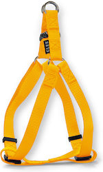 Glee Yellow Medium Glee Yellow Medium