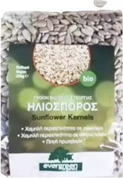 Evergreen Organics Semințe De Floarea-Soarelui Fără Coajă Produs Organic 250gr
