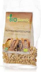 Aleyropoiia Xanthis Kalopita Con De Brad Fără Coajă 50gr