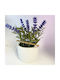 Artificial Plant in Small Pot Lavender 1pcs