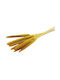 Dried Plant Yellow 1pcs