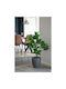 Artificial Plant in Pot Magnolia Green 90cm