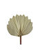 Artificial Decorative Branch Palm Tree 1pcs