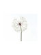 Kaemingk Artificial Decorative Branch White 90cm 1pcs