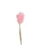 Μπουκέτο από Bunny Tails Ροζ 65cm