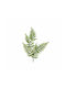 Decostar Artificial Decorative Branch Fern Green 107cm 1pcs