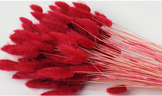 Strauß aus künstlichen Blumen Häschenwedel Rot 65cm Paperpack Net