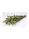 Dried Plant Green 40cm Paperpack Net