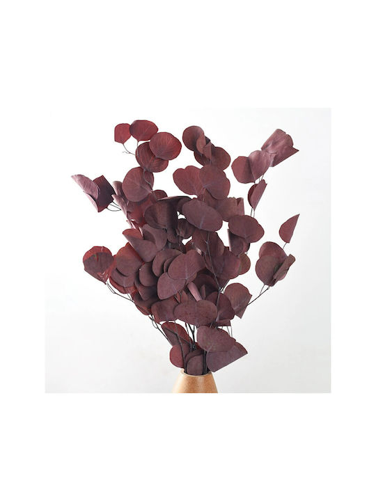 Decorative Artificial Flower Eucalyptus Burgundy Diosera