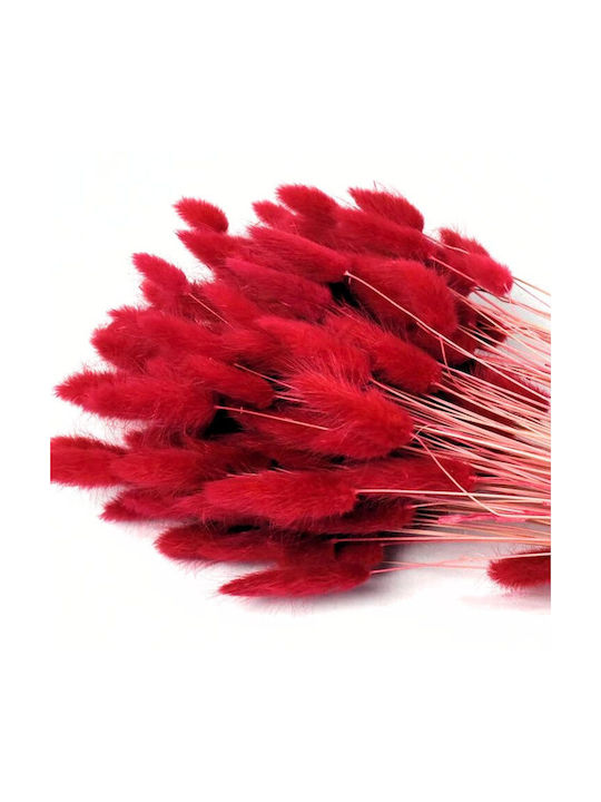 Faitakis Pack Dried Plant Red 65cm 1pcs