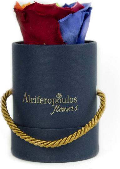 Trandafir Etern Multicolour în cutie Aleiferopoulos Flowers