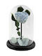 Eternal Rose Blue 22cm in Yala Aleiferopoulos Flowers