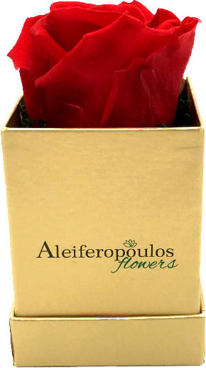 Trandafir Etern Red în cutie Aleiferopoulos Flowers