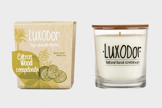 Luxodor Αρωματικό Σόγιας σε Βάζο Citrus